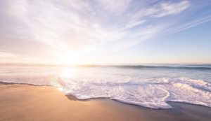 beach, shore, coast